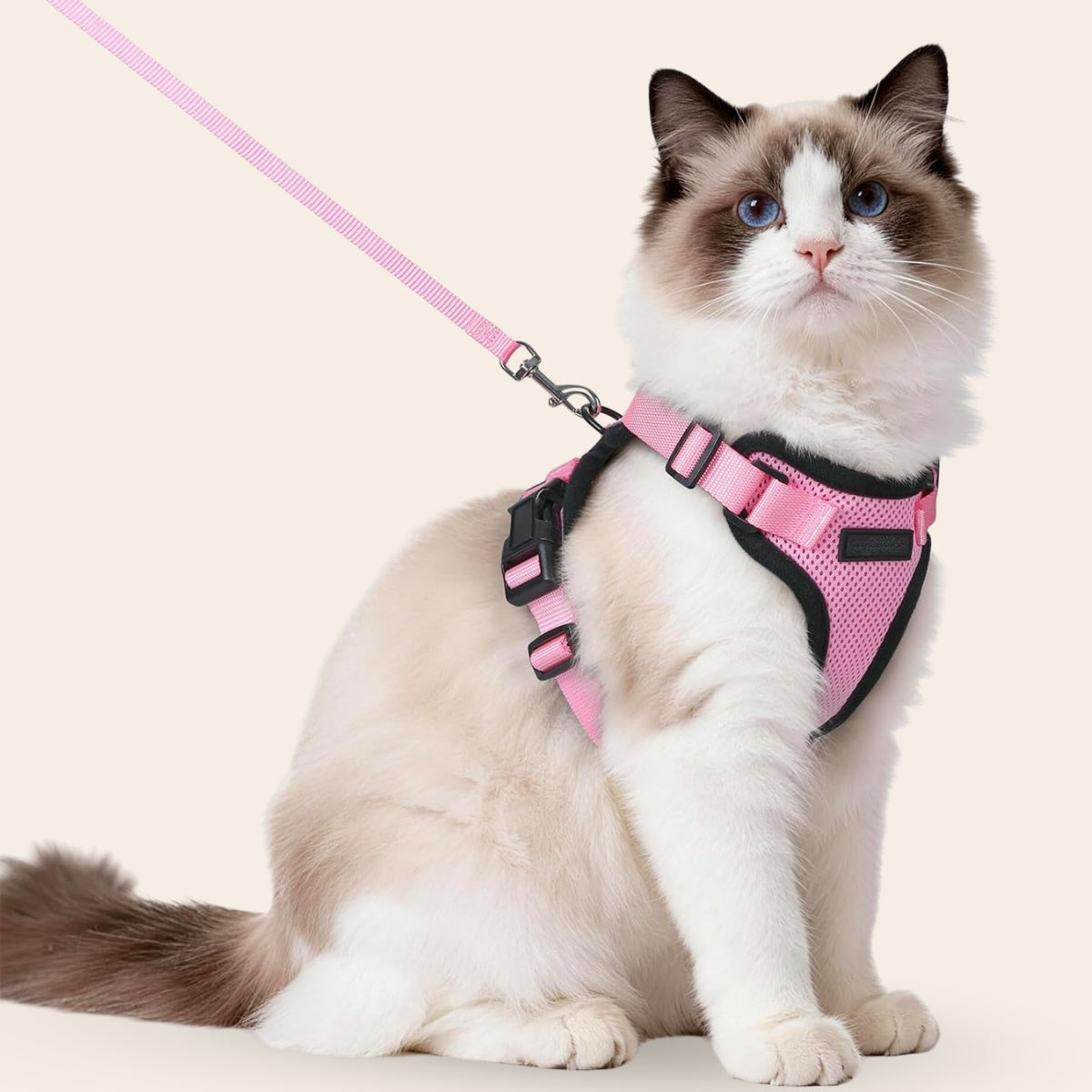 Explorer Air - Ademend en Verstelbaar Kattenharnas met Looplijn