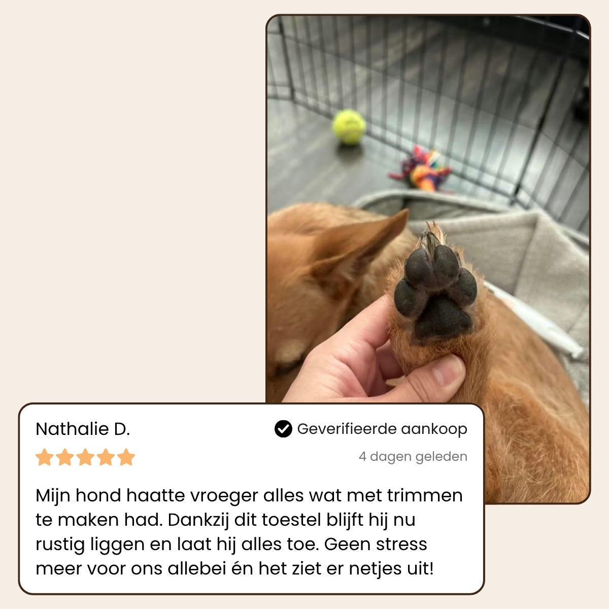 PawBlade Pro - Professionele Precisie Trimmer voor Huisdieren