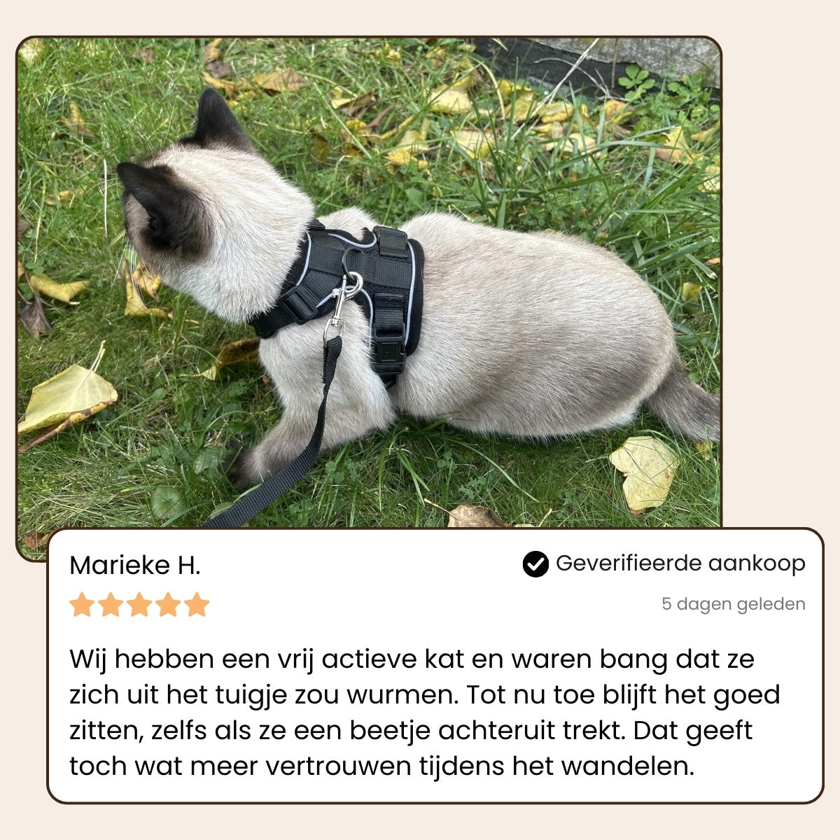 Explorer Air - Ademend en Verstelbaar Kattenharnas met Looplijn