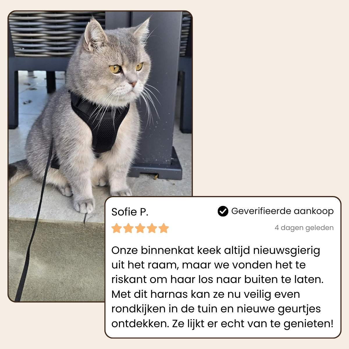 Explorer Air - Ademend en Verstelbaar Kattenharnas met Looplijn