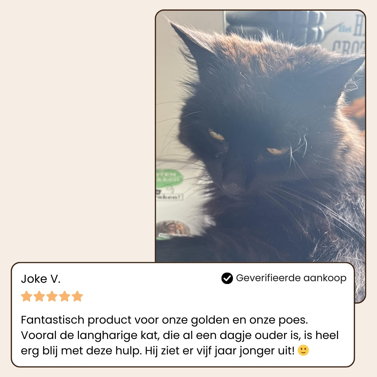 Steami Pro - Professionele Vachtverzorgings Borstel voor Huisdieren