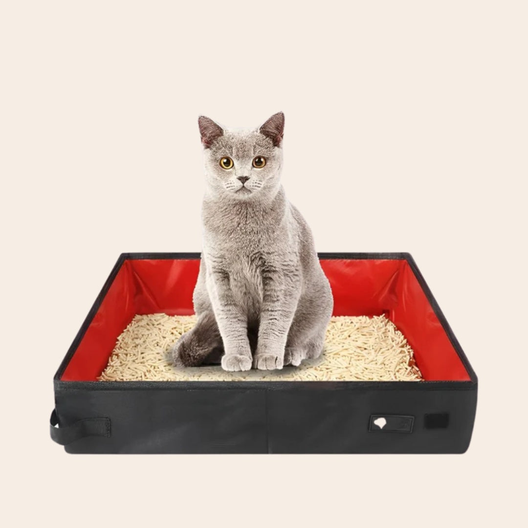 Draagbare Kattenbak