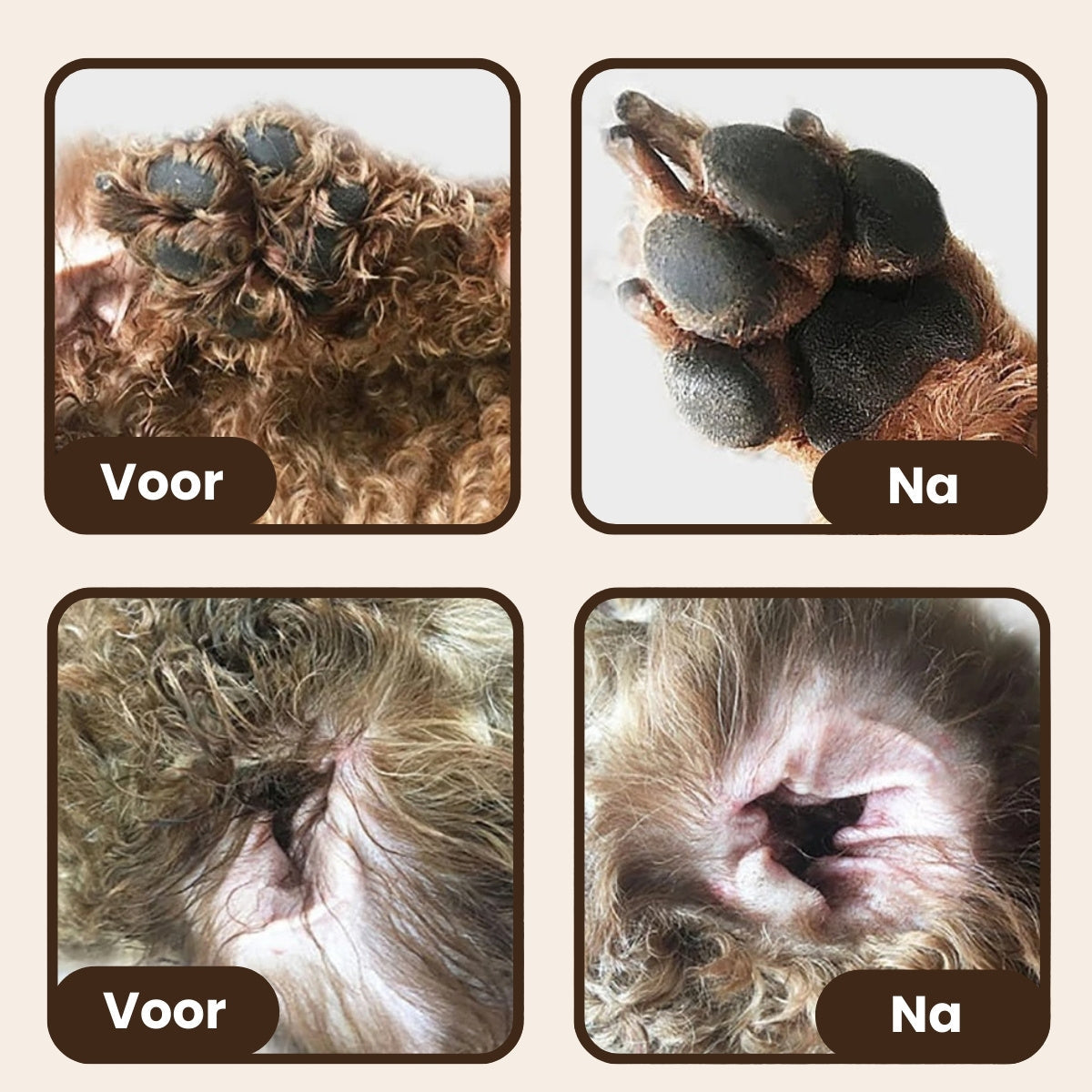 Complete Professionele Verzorgings-Bundel