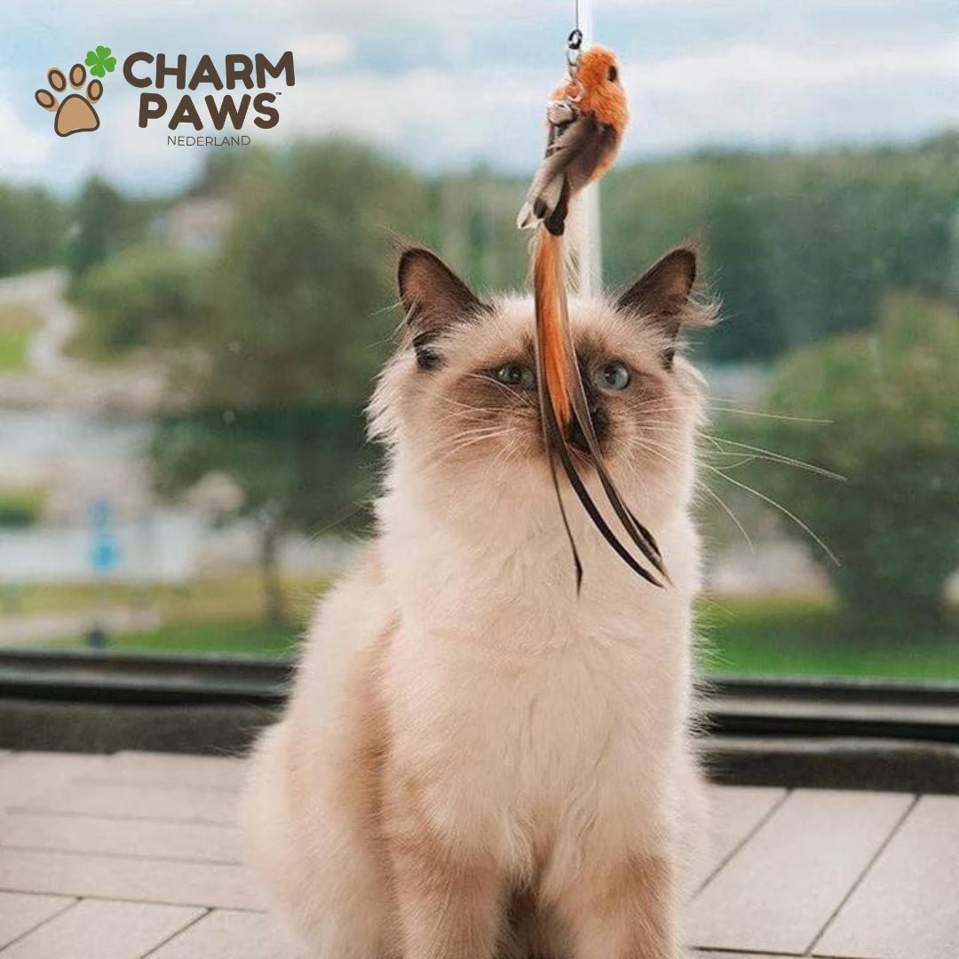 Vogel Jacht-Simulator Set Original