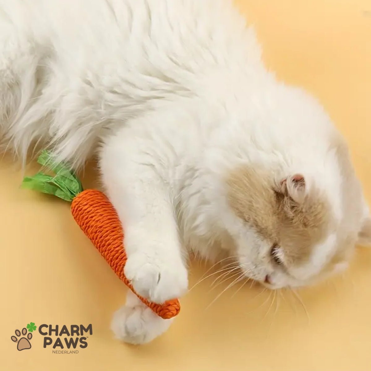 Katten Wortel Kauwstaaf