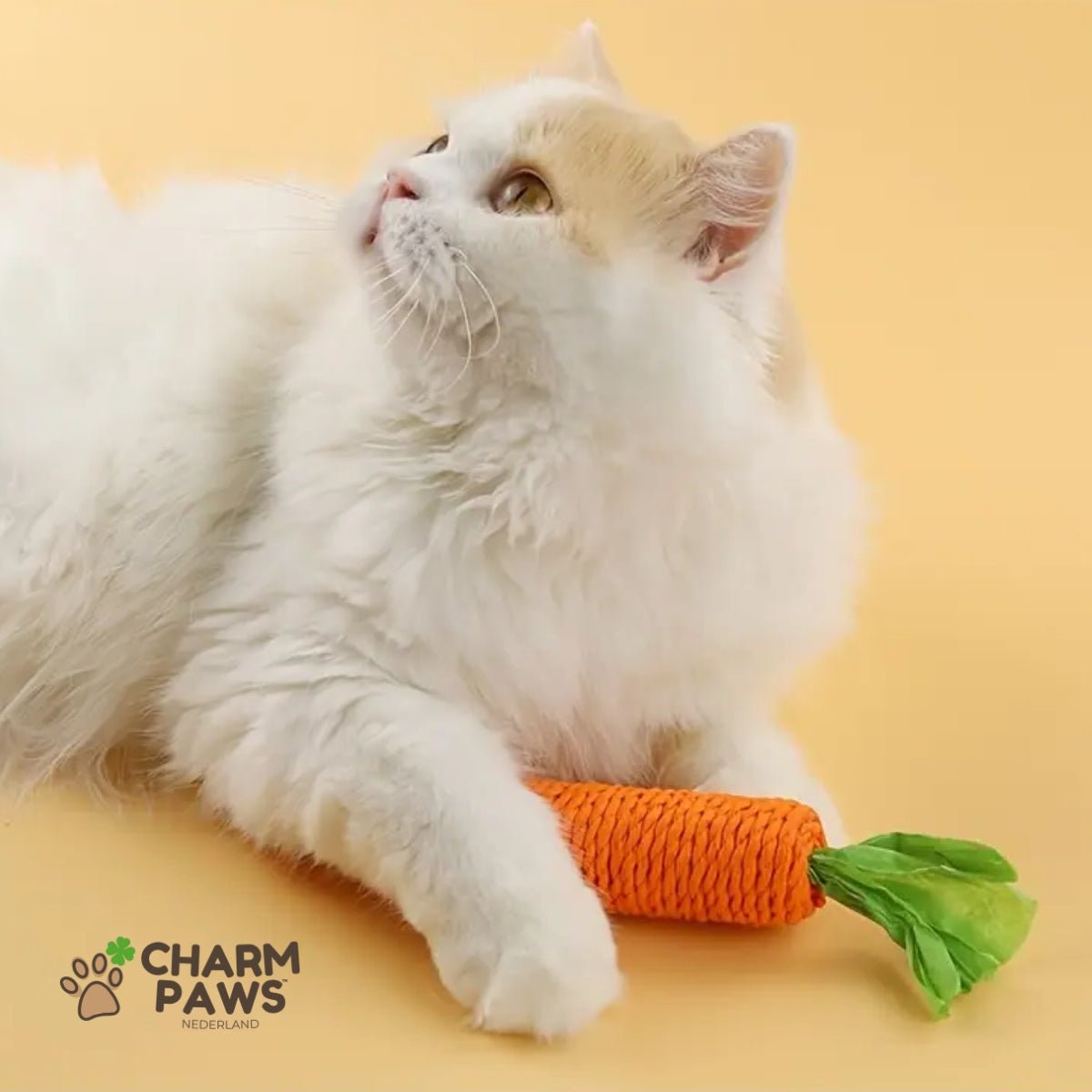 Katten Wortel Kauwstaaf