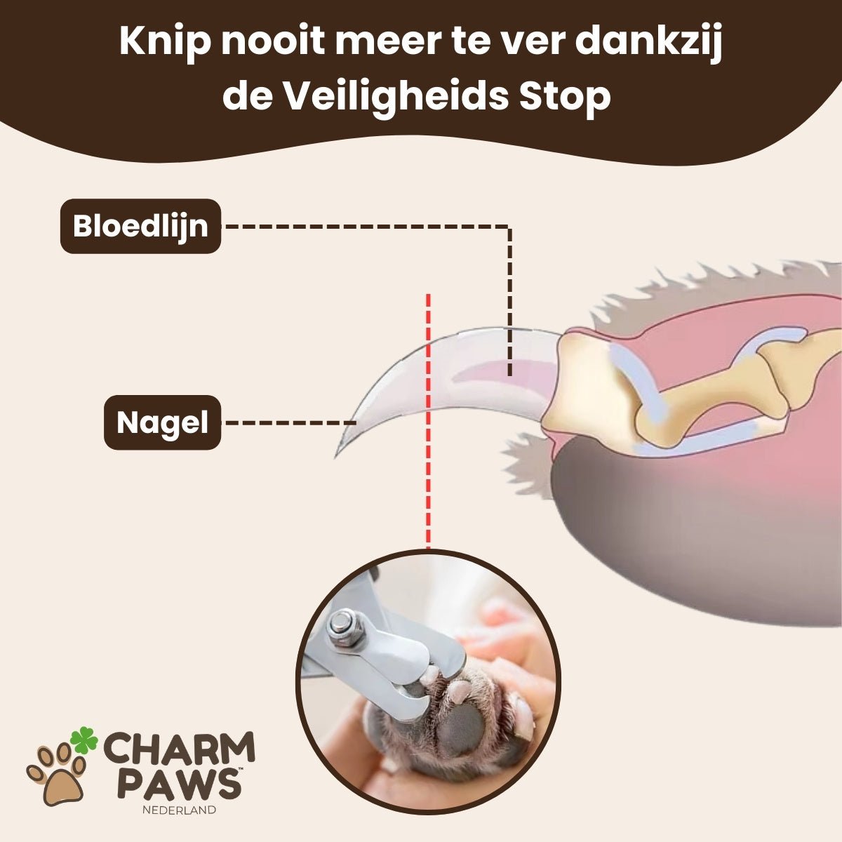 Professionele Nageltrimmer met Veiligheidsstop - Voor Honden & Katten