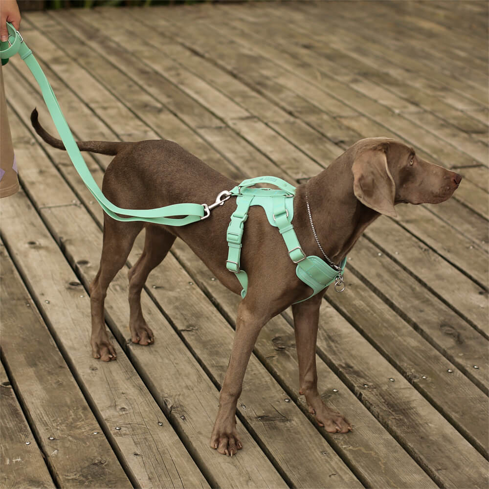 Gummy Honden Wandelset