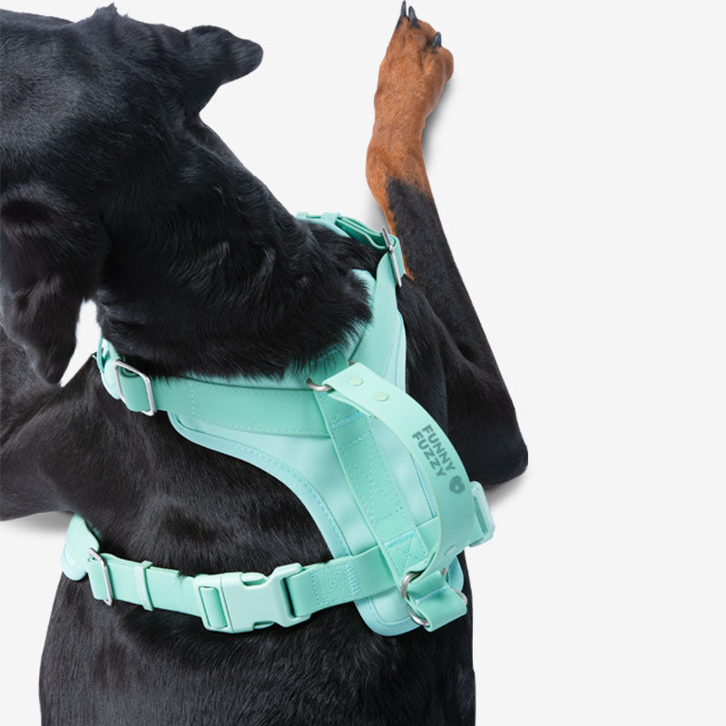Gummy Honden Wandelset
