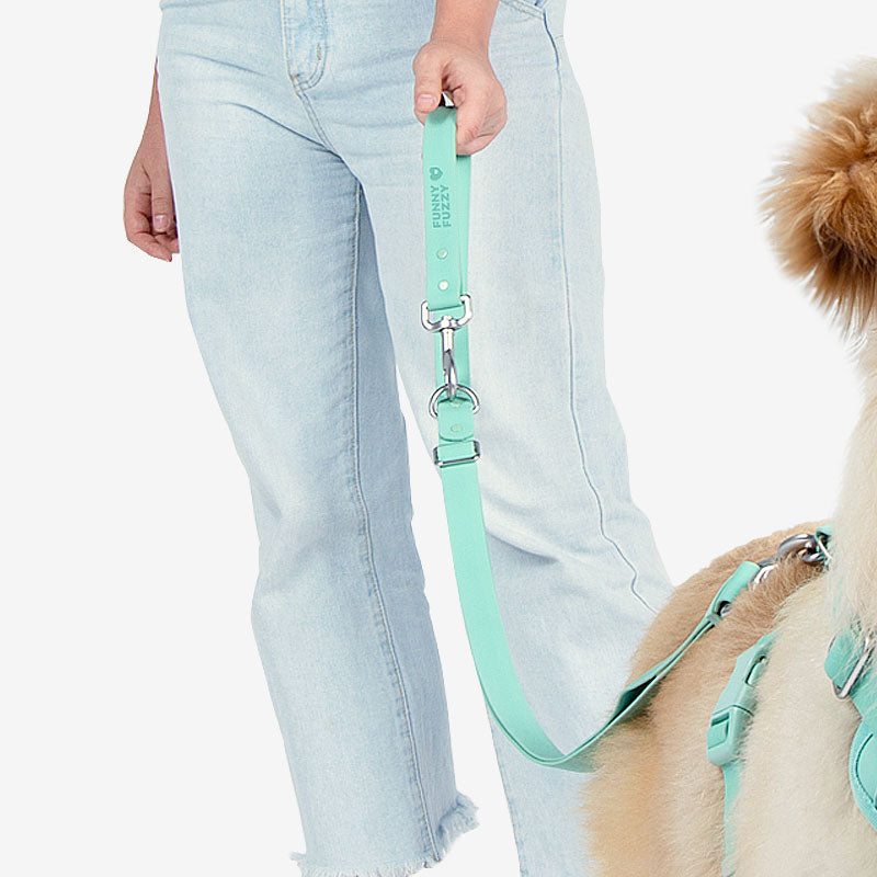 Gummy Honden Wandelset