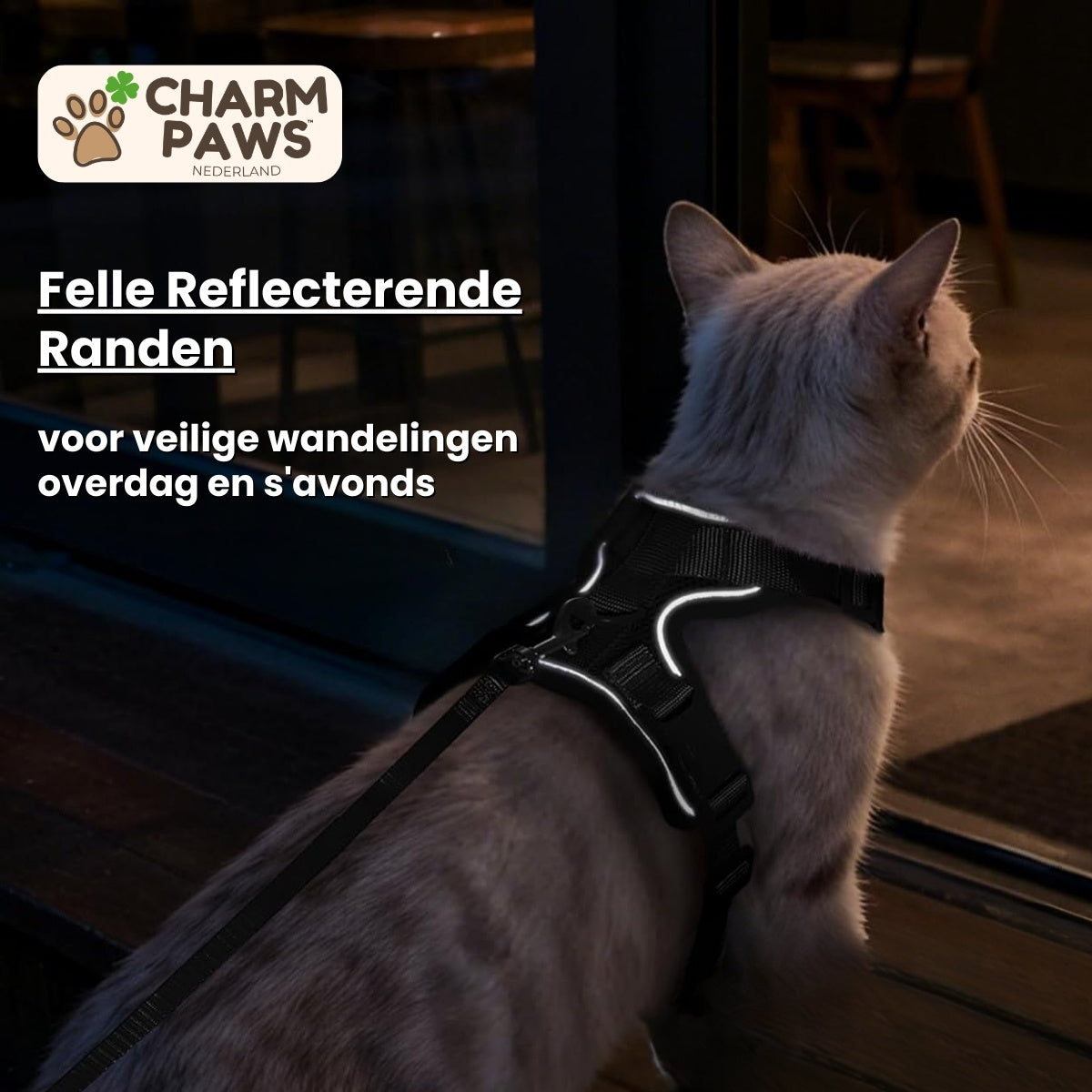 Explorer Air - Ademend en Verstelbaar Kattenharnas met Looplijn