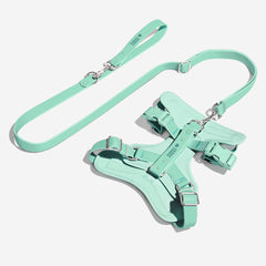 Gummy Honden Wandelset