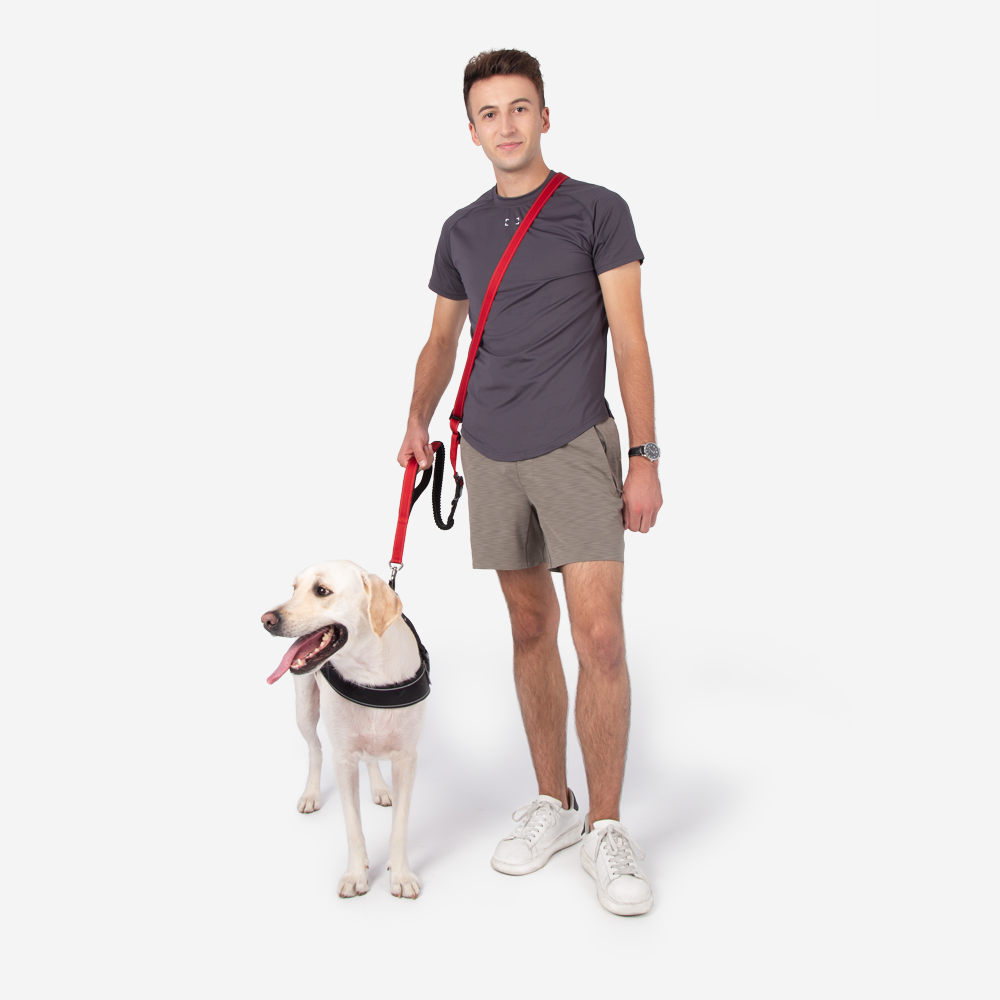 Handsfree Hondenriem met Veiligheidsgordel