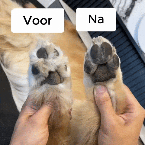 PawBlade Pro - Professionele Precisie Trimmer voor Huisdieren