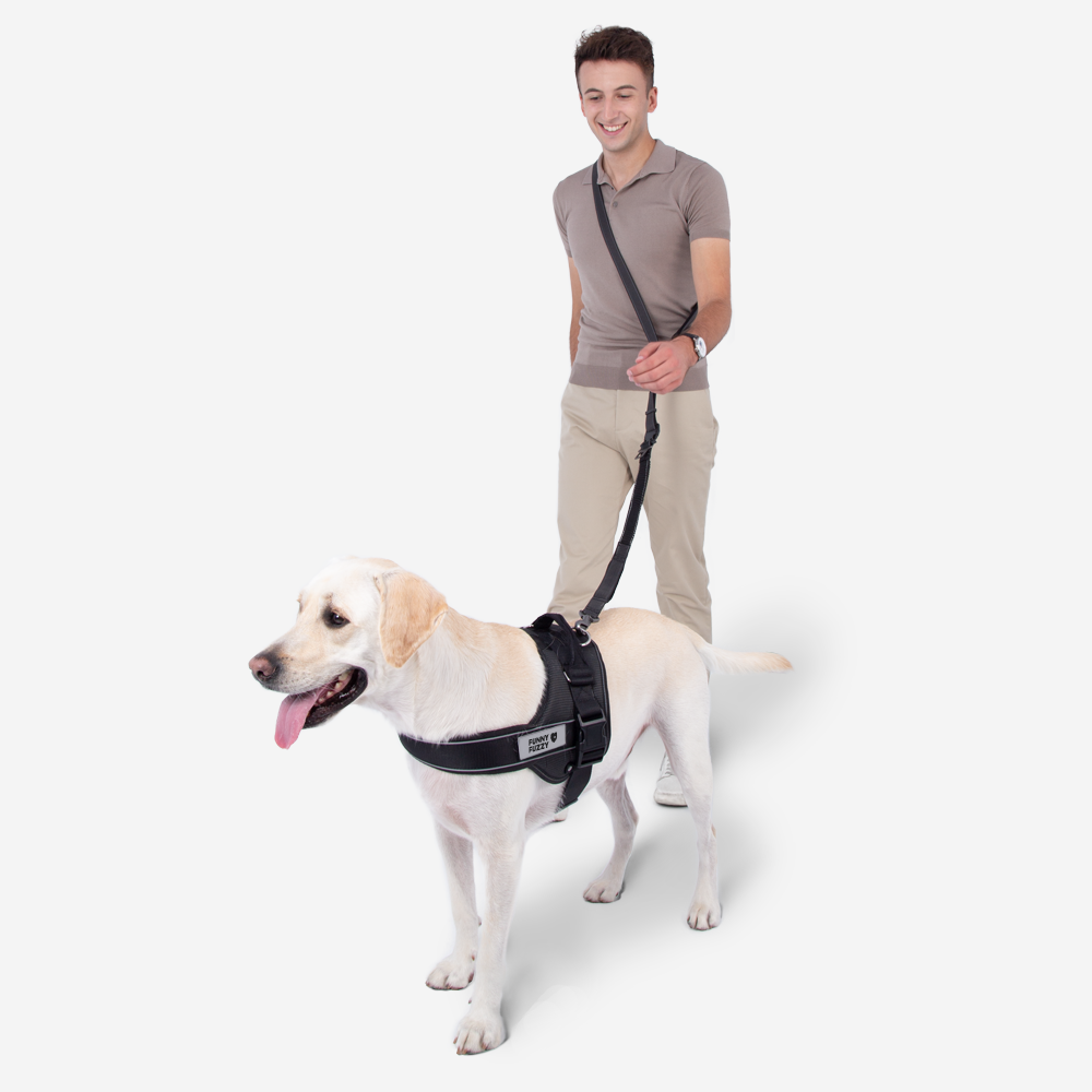 Handsfree Hondenriem met Veiligheidsgordel